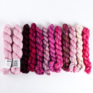 Koigu Grevillea Shawl Set