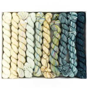 Koigu KPPPM Venation Pencil Box Set