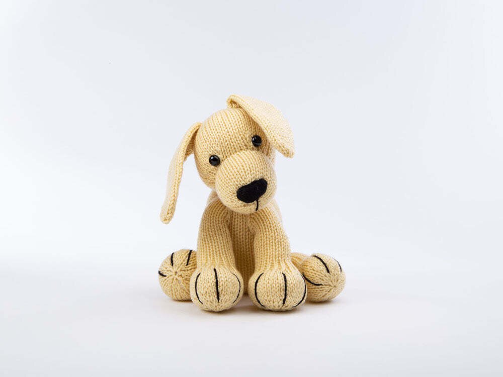 Paintbox Yarns Simply DK Dexter the Labrador 3 Ball Knitting Kit